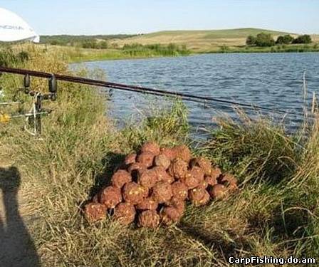 прикормка для ловли карпа весной прикормка для ловли карпа весной