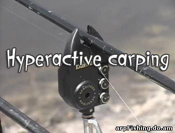 Hyperactive carping | Активная ловля карпов