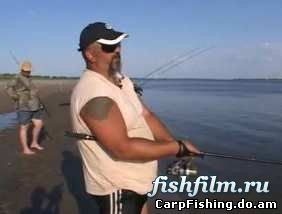 Сазан на Нижней Волге 4 часть