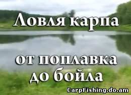 Ловля карпа от поплавка до бойла. Видео-журнал Сибирь