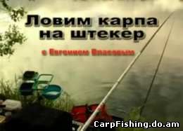 Ловим карпа на штекер. Сибирская рыбалка