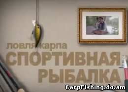 Выбор удилища для ловли карпа